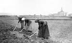 Mujeres escardando la tierra en la aldea de Ali en Vitoria-Gasteiz