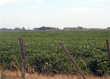 Tierras de Don Juan Luberriaga