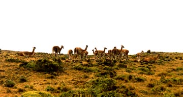 Parque Nacional de las Torres del Paine