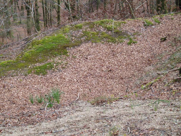 Carbonera de montaña hecha sin refuerzos de piedra de la zona del bosque de Añarbe, en Rentaría, donde se encuentran más de mil carboneras, a una carbonera por hectárea, una de las mayores concentraciones del País Vasco.