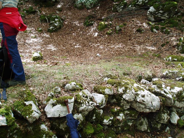 En esta carbonera de montaña de la zona de Aitzgorri de la cultura verbenera se puede ver una típica carbonera de montaña en ladera, pero con refuerzo lateral de muro de piedra.