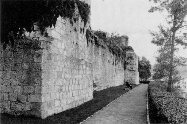 Foto de Eusko Ikaskuntza del Paseo de las Murallas de Agurain que da al  Noreste