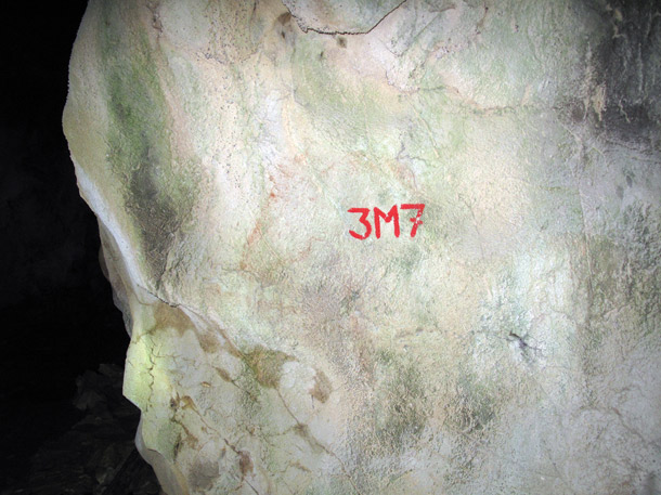 En las paredes de la cueva se han encontrado cinco caballos pintados en rojo