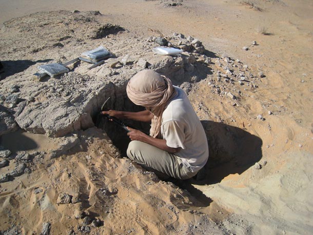 Preparacion de una columna estratigrafica para la toma de muestras sedimentologicas en uno de los testigos trevertinicos de la sebja de Emherisat (Duguech)