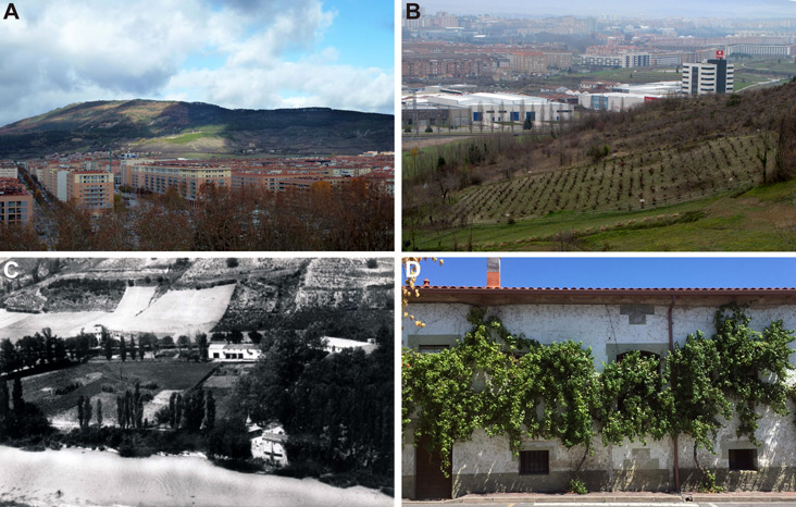 Vista desde el Paseo de Ronda en las murallas de Iruñea-Pamplona