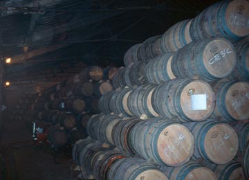 Bodegas Cune